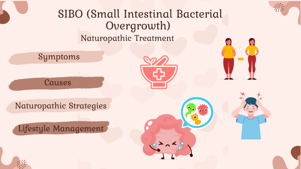 sibo natural treatment